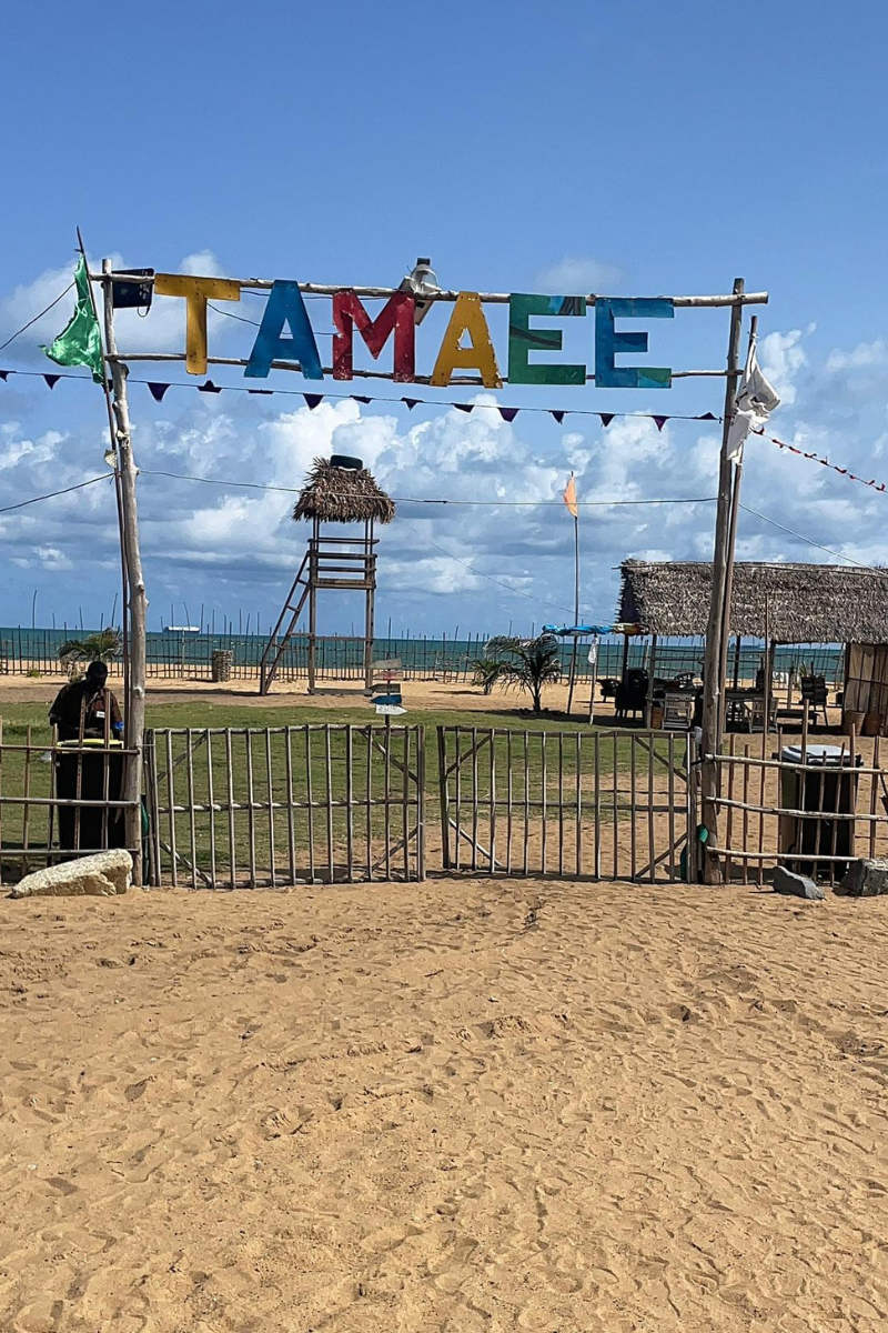 Stage Chargé(e) de Projets - TAMAEE Bénin